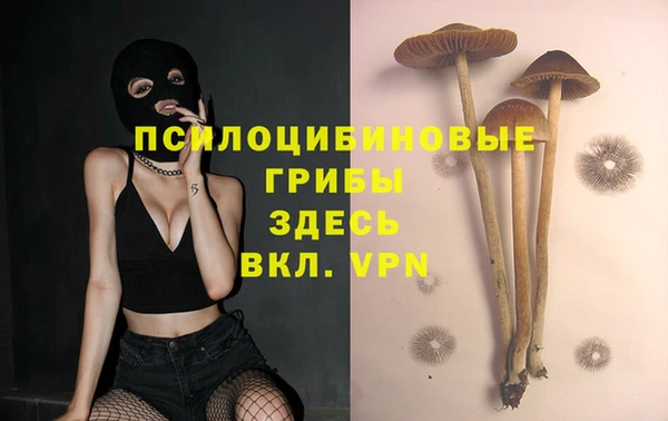 синтетический гашиш Приозерск