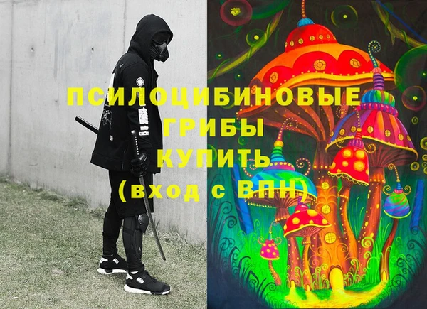 2c-b Протвино