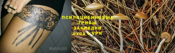 синтетический гашиш Приозерск