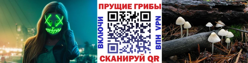 Галлюциногенные грибы ЛСД  наркота  Горбатов 